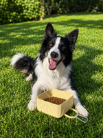 Comedero Portátil Plegable para Mascotas – Ideal para Viajes y Paseos